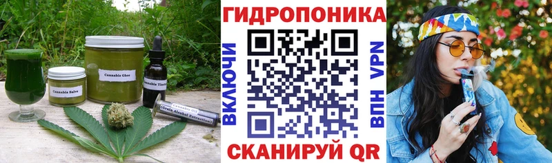 hydra   Кологрив  Canna-Cookies конопля 