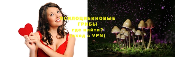 МДПВ Инта