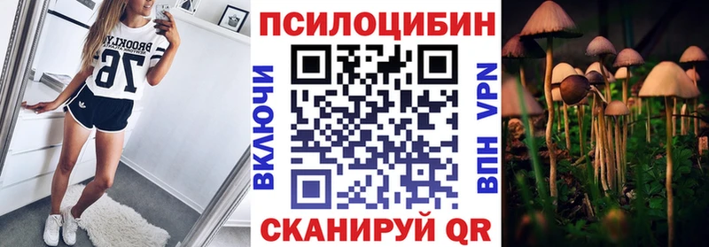 Псилоцибиновые грибы мухоморы  МЕГА зеркало  Кологрив 