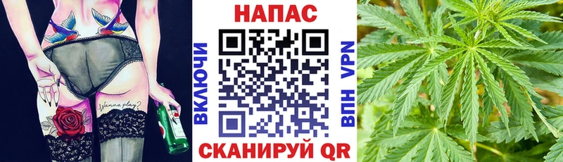 Канабис планчик  МЕГА tor  Кологрив 